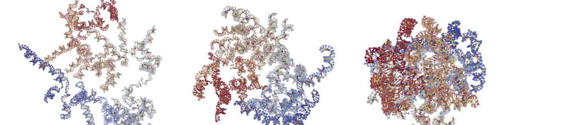 RNA2_PackingProtocol