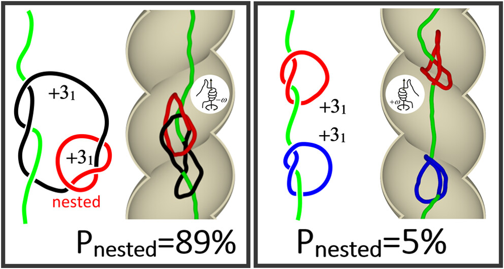 Picture of Controlling knot interactions through confinement – Statistical and ...